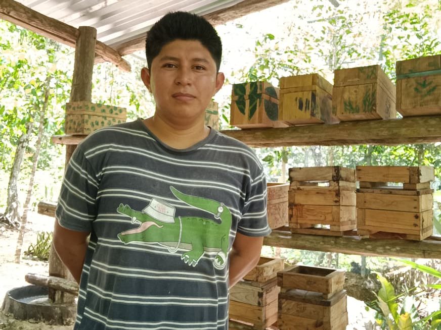 Cajas de madera para abejas meliponas en un meliponario comunitario